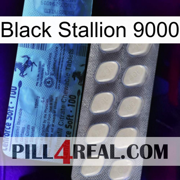 Black Stallion 9000 34.jpg